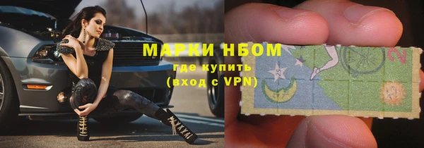 СК Аркадак