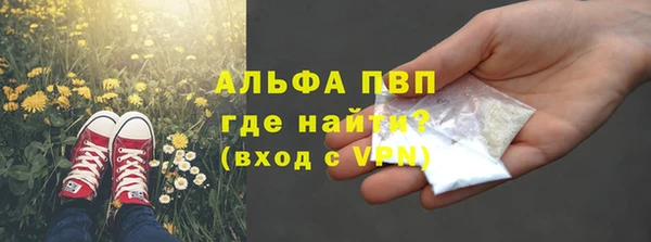 гидра Арсеньев