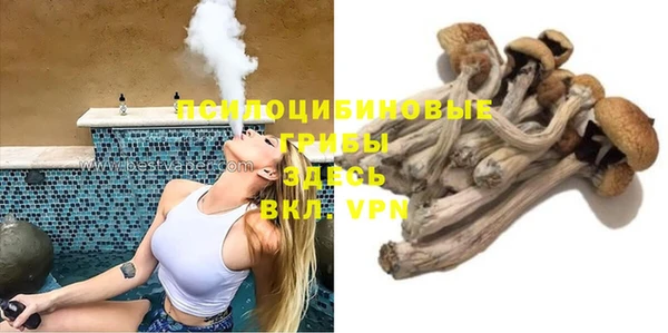 СК Аркадак